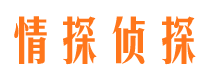 松阳侦探公司